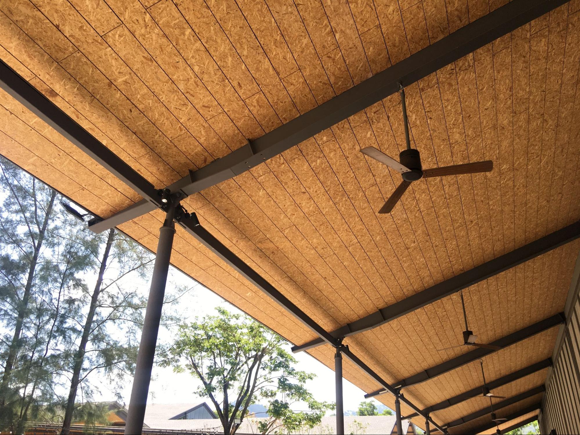 Outdoor Ceiling Fans