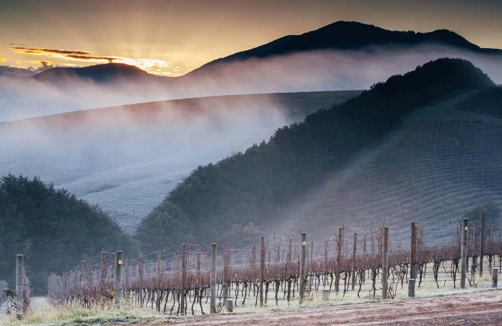 Winter BBQ Recipes for the Whole Family