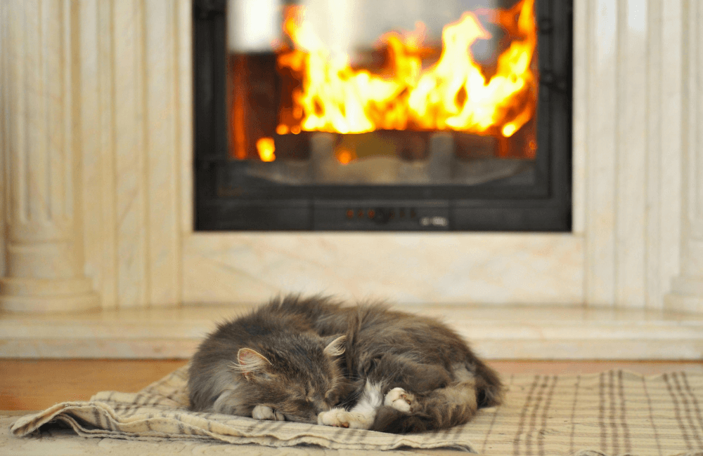 Stay Warm: Troubleshooting Common Heating Problems